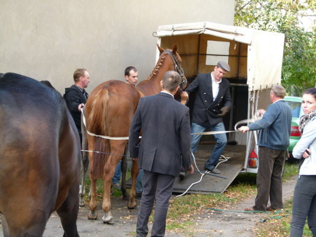 Potrójna impreza w Bukówcu (zdjęcia)