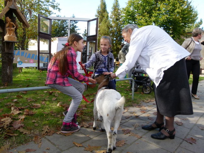 Potrójna impreza w Bukówcu (zdjęcia)