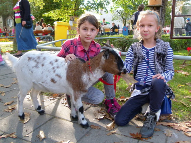 Potrójna impreza w Bukówcu (zdjęcia)