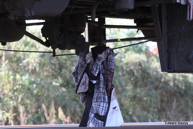 Śmierć na torach, w okolicach Zaborowa (zdjęcia)