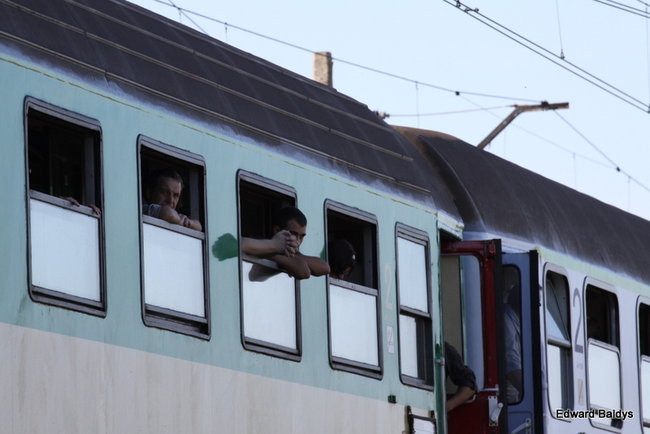 Śmierć na torach, w okolicach Zaborowa (zdjęcia)