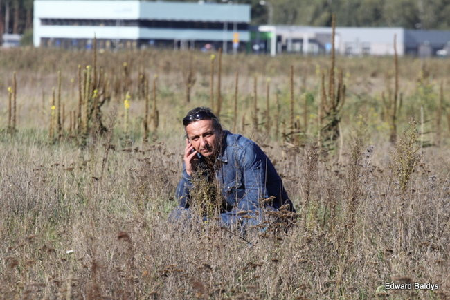 Śmierć na torach, w okolicach Zaborowa (zdjęcia)