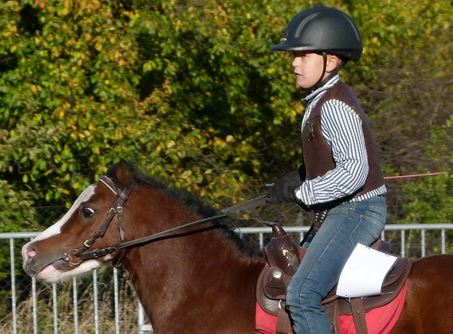 Kowbojskie popisy we Włoszakowicach (zdjęcia)