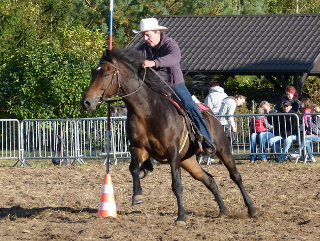 Kowbojskie popisy we Włoszakowicach (zdjęcia)