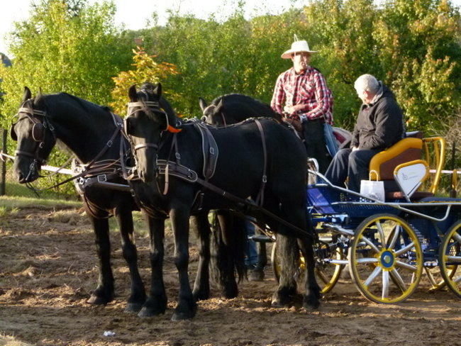 Kowbojskie popisy we Włoszakowicach (zdjęcia)