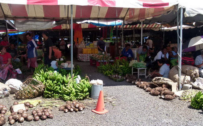 Ulysses dociera na Samoa i Fiji (zdjęcia)