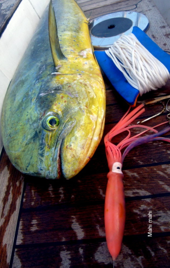 Ulysses dociera na Samoa i Fiji (zdjęcia)