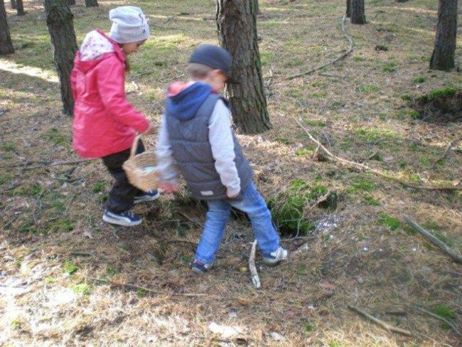 Dziś Dzień Drzewa (zdjęcia)