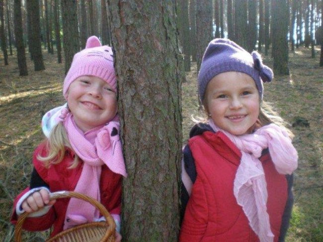 Dziś Dzień Drzewa (zdjęcia)