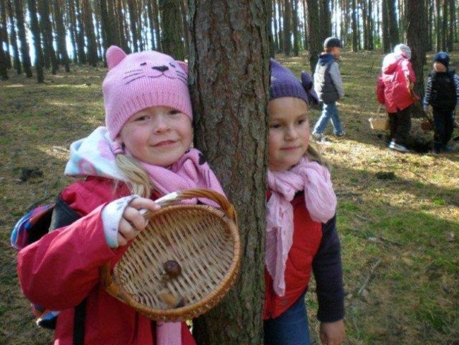 Dziś Dzień Drzewa (zdjęcia)