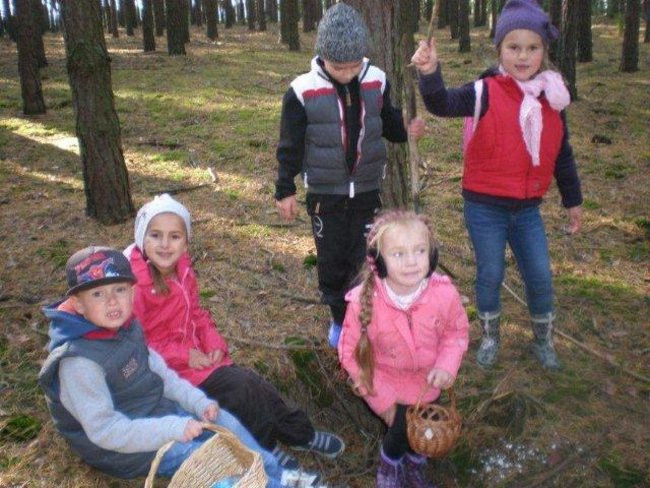 Dziś Dzień Drzewa (zdjęcia)