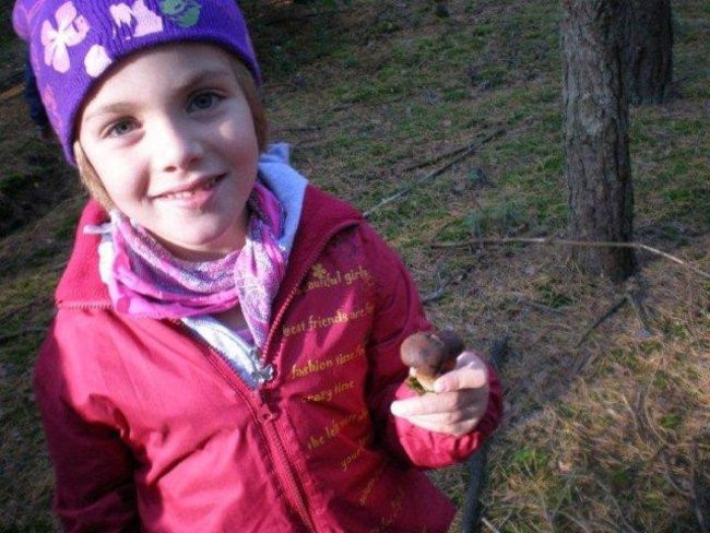 Dziś Dzień Drzewa (zdjęcia)