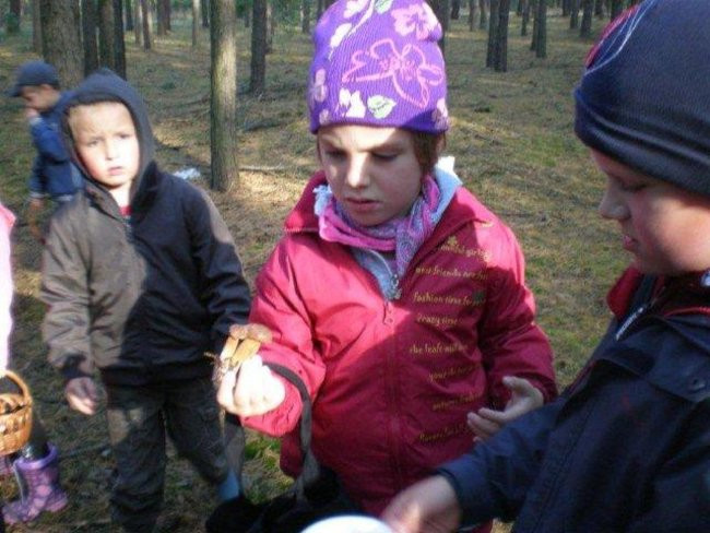 Dziś Dzień Drzewa (zdjęcia)