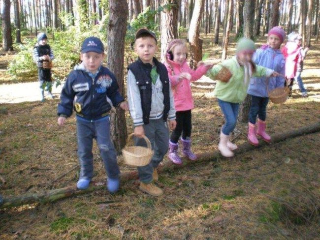 Dziś Dzień Drzewa (zdjęcia)