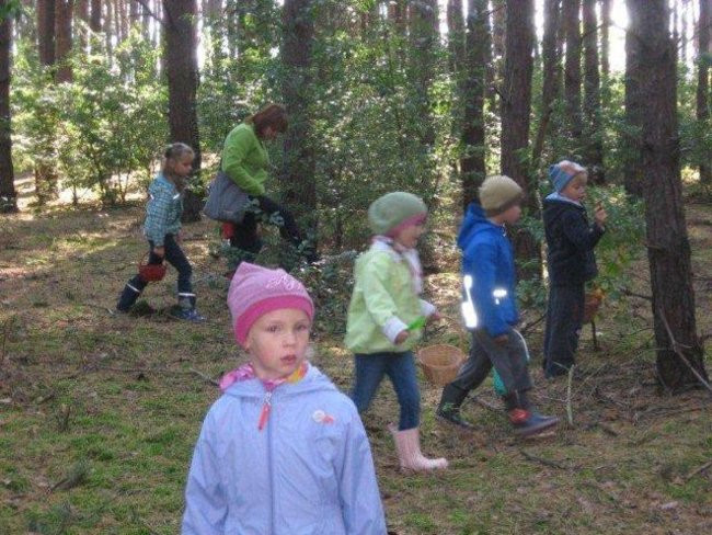 Dziś Dzień Drzewa (zdjęcia)