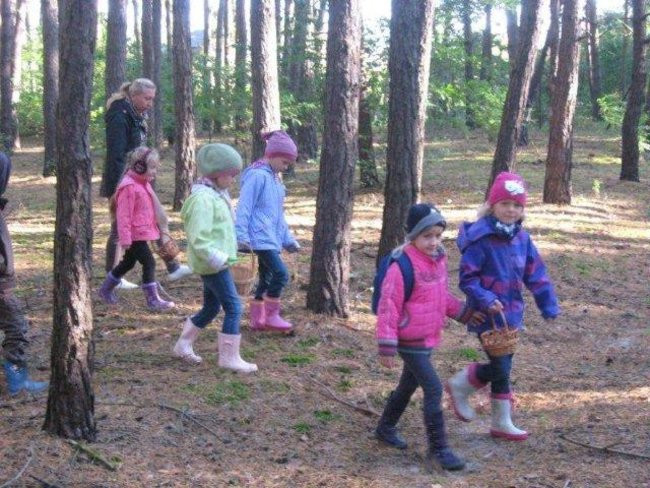 Dziś Dzień Drzewa (zdjęcia)