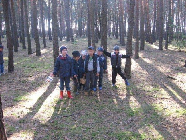 Dziś Dzień Drzewa (zdjęcia)