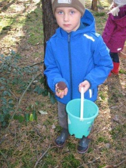 Dziś Dzień Drzewa (zdjęcia)