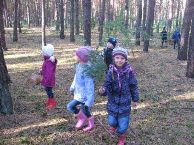 Dziś Dzień Drzewa (zdjęcia)