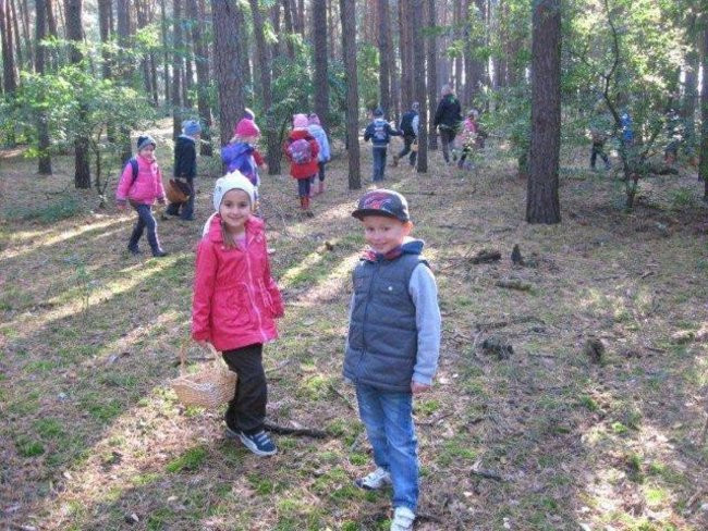 Dziś Dzień Drzewa (zdjęcia)