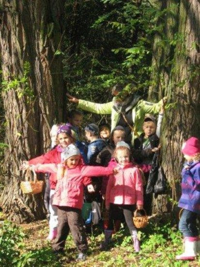 Dziś Dzień Drzewa (zdjęcia)