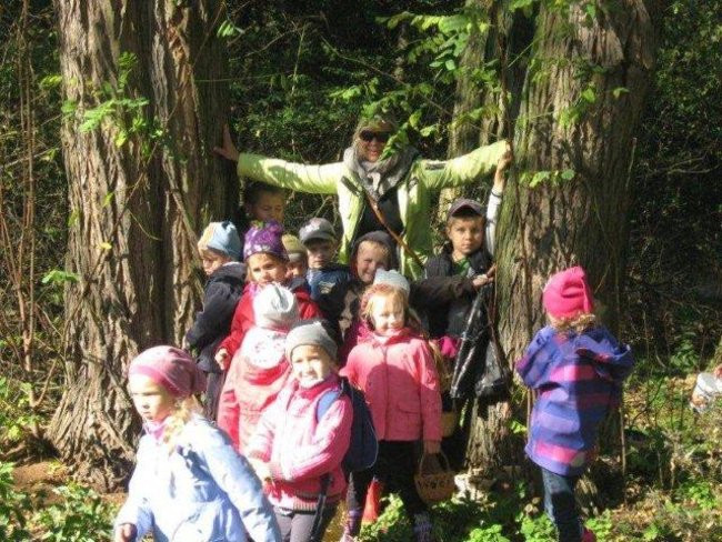 Dziś Dzień Drzewa (zdjęcia)