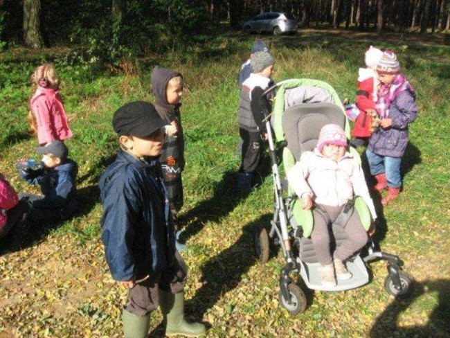 Dziś Dzień Drzewa (zdjęcia)