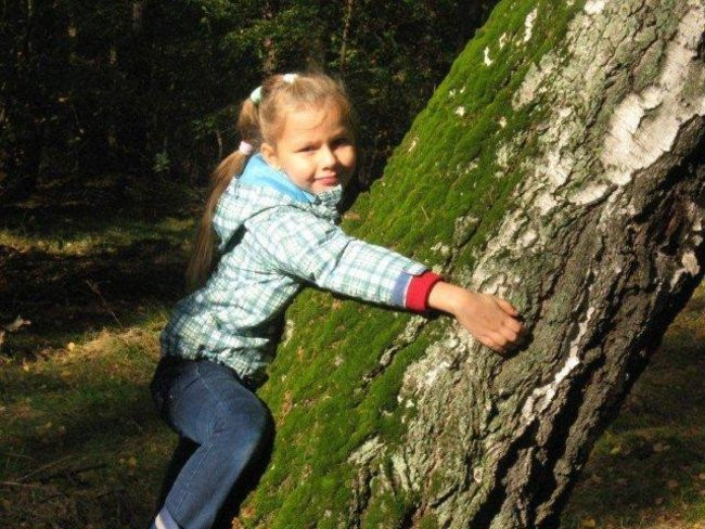 Dziś Dzień Drzewa (zdjęcia)