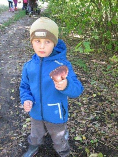 Dziś Dzień Drzewa (zdjęcia)