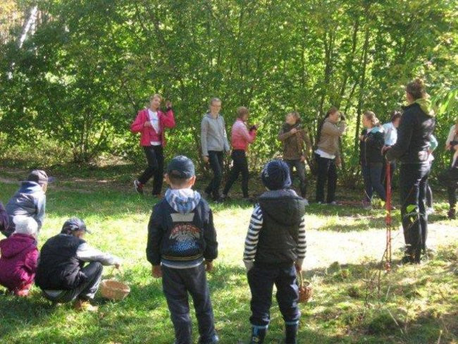 Dziś Dzień Drzewa (zdjęcia)