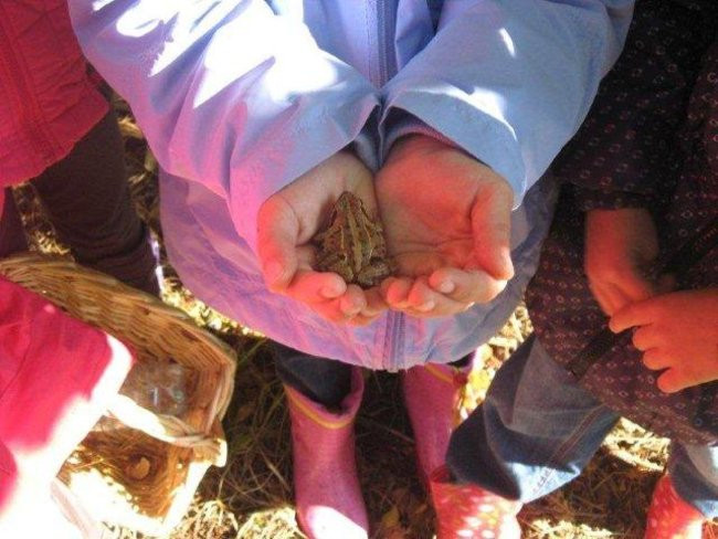 Dziś Dzień Drzewa (zdjęcia)