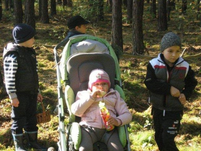 Dziś Dzień Drzewa (zdjęcia)