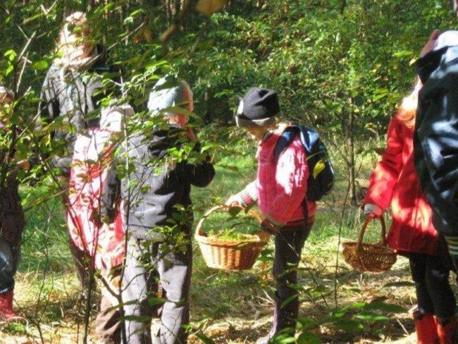 Dziś Dzień Drzewa (zdjęcia)