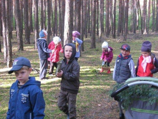 Dziś Dzień Drzewa (zdjęcia)