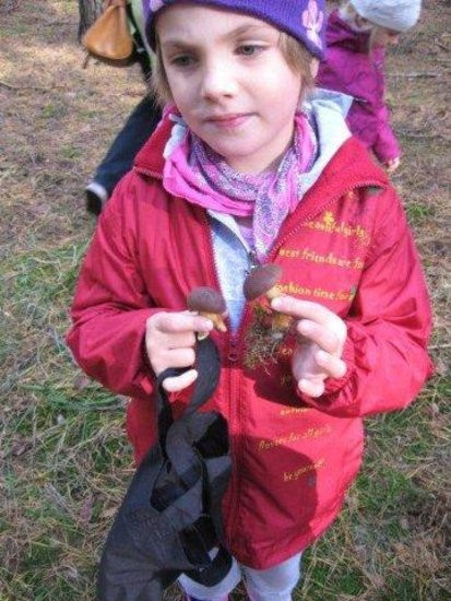 Dziś Dzień Drzewa (zdjęcia)