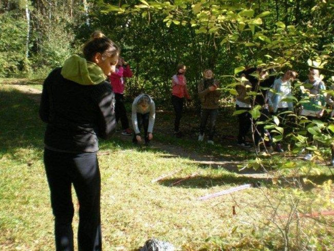 Dziś Dzień Drzewa (zdjęcia)