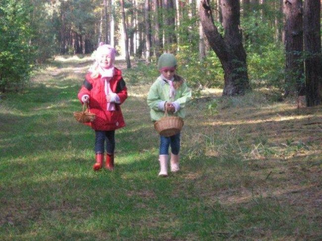 Dziś Dzień Drzewa (zdjęcia)