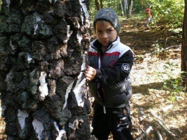 Dziś Dzień Drzewa (zdjęcia)