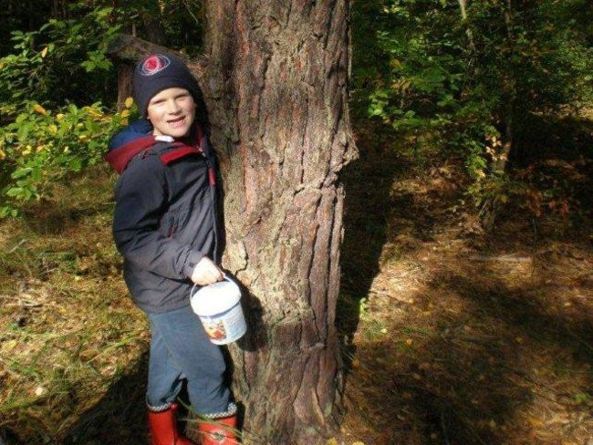 Dziś Dzień Drzewa (zdjęcia)