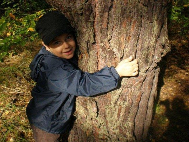 Dziś Dzień Drzewa (zdjęcia)