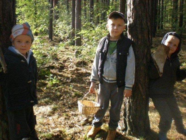 Dziś Dzień Drzewa (zdjęcia)