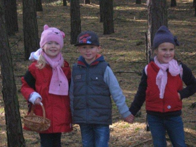 Dziś Dzień Drzewa (zdjęcia)