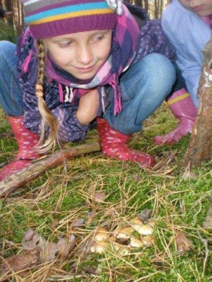 Dziś Dzień Drzewa (zdjęcia)