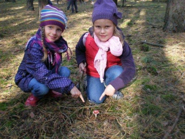 Dziś Dzień Drzewa (zdjęcia)