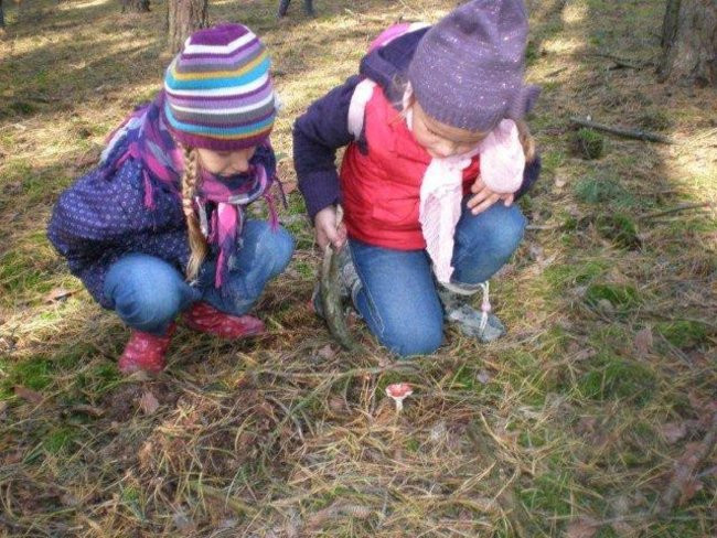 Dziś Dzień Drzewa (zdjęcia)