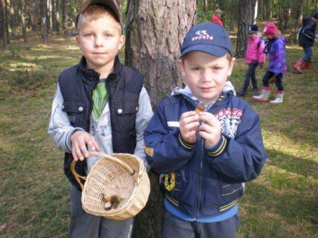 Dziś Dzień Drzewa (zdjęcia)