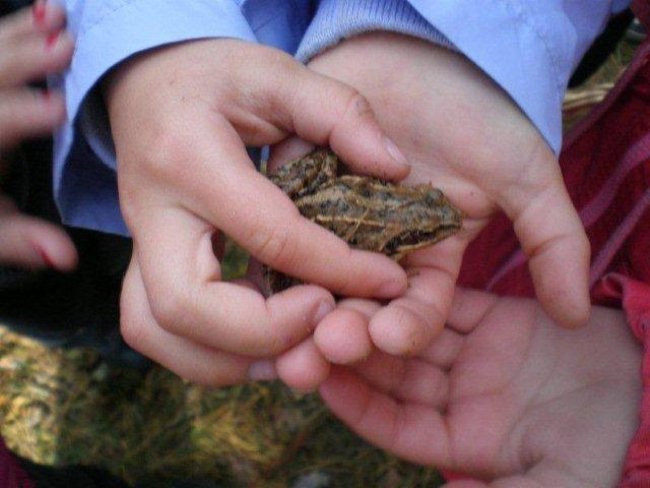 Dziś Dzień Drzewa (zdjęcia)