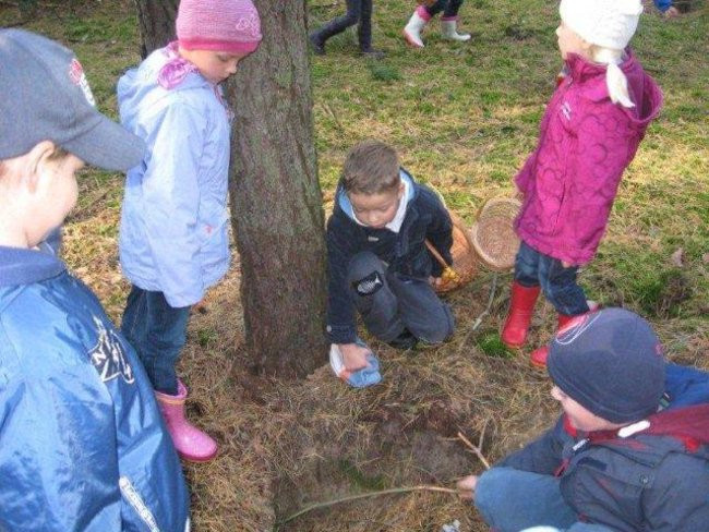 Dziś Dzień Drzewa (zdjęcia)