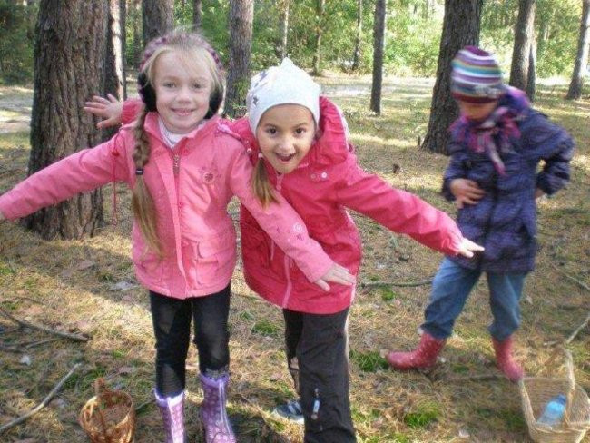 Dziś Dzień Drzewa (zdjęcia)