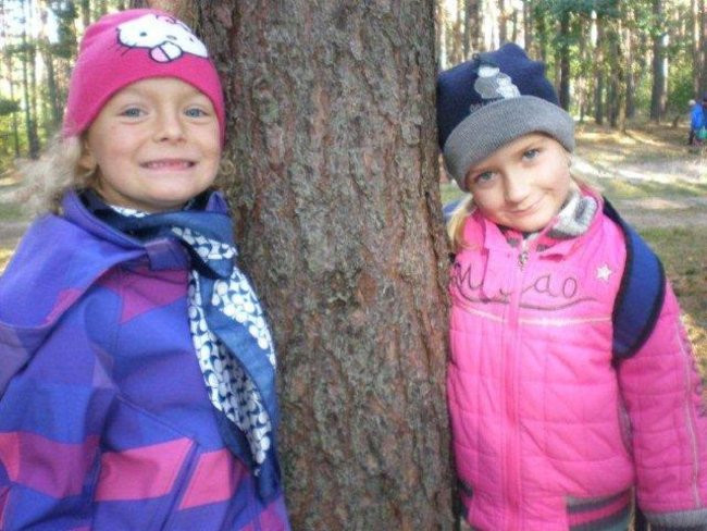 Dziś Dzień Drzewa (zdjęcia)